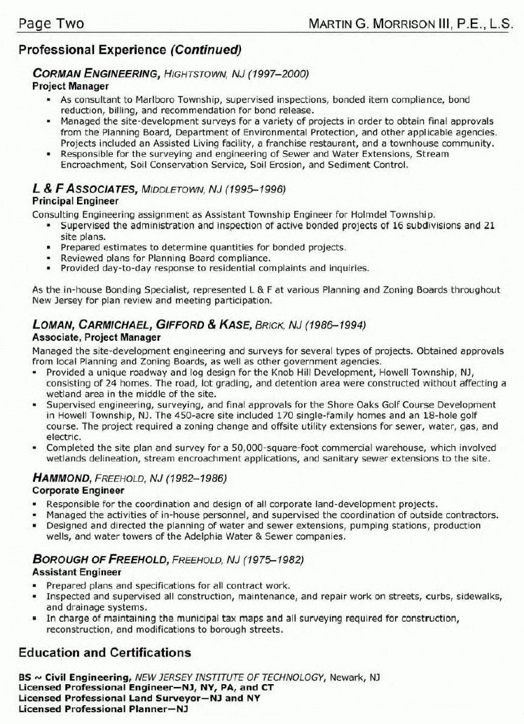sample surveyor resumes