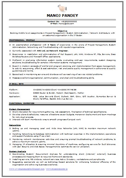experienced professional resumes