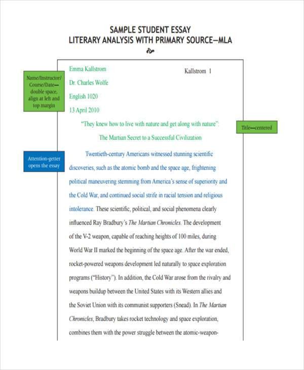 literary essays examples