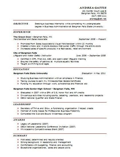 3 page resume examples