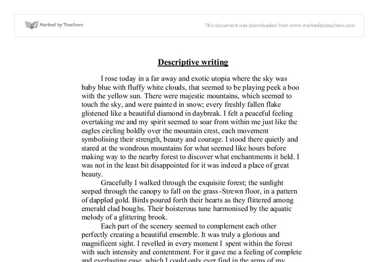 descriptive narrative essay example