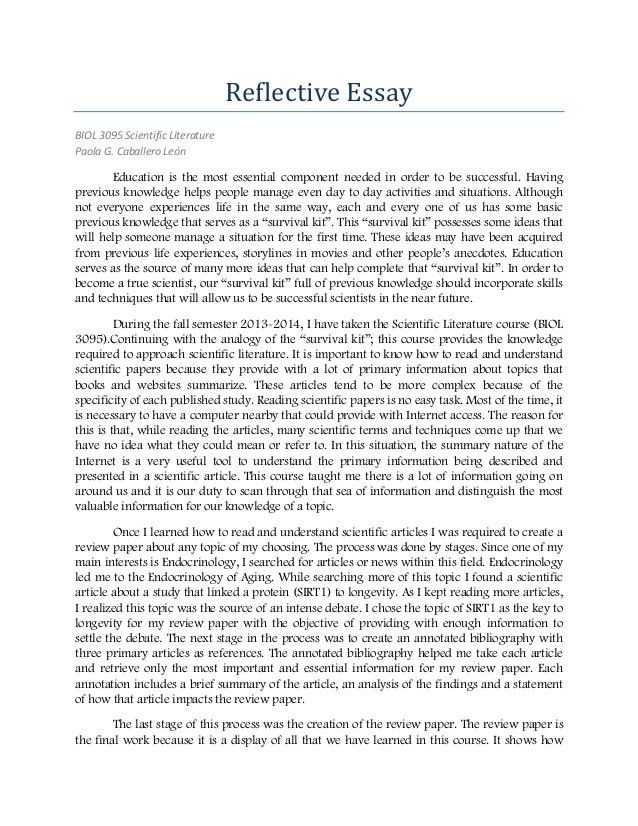 portfolio reflection essay examples