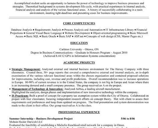program analyst resumes