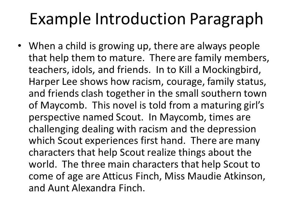 how to write an introduction to an essay example