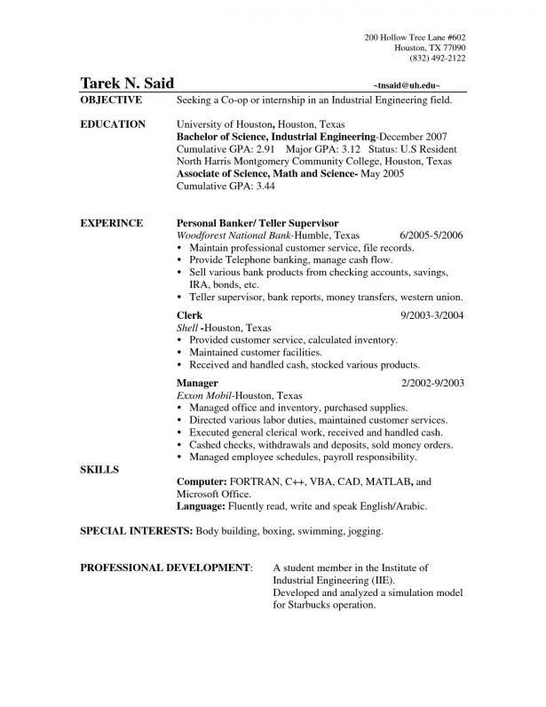 resume professional summary