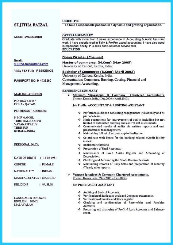 Audit Assistant Sample Resume resume examples templates sample