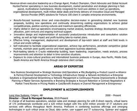 executive director resume samples
