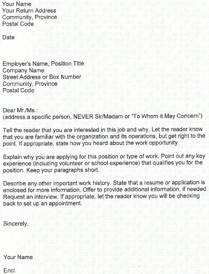 summer associate cover letter