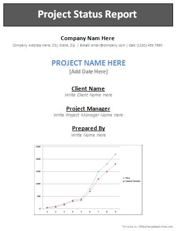 professional report template