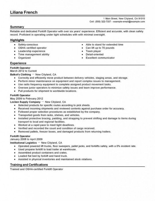 computer operator resume format