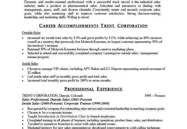 professional summary template
