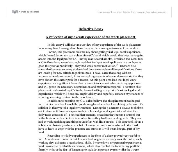 portfolio reflection essay examples