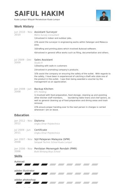 land surveyor resume