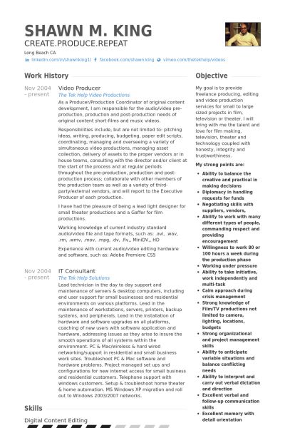 music producer resume samples