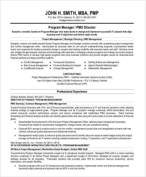 Amazing Lean Six Sigma Consultant Resume Pattern - Professional