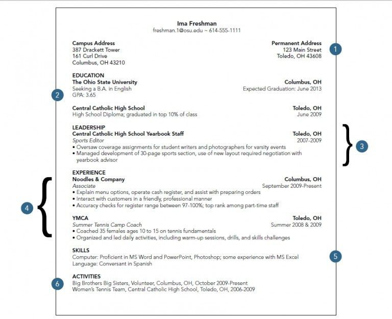 resume for college freshmen