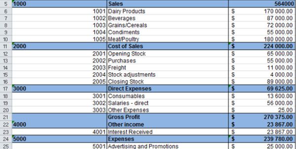 monthly income statement