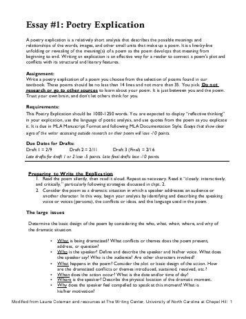 poetry analysis essay example