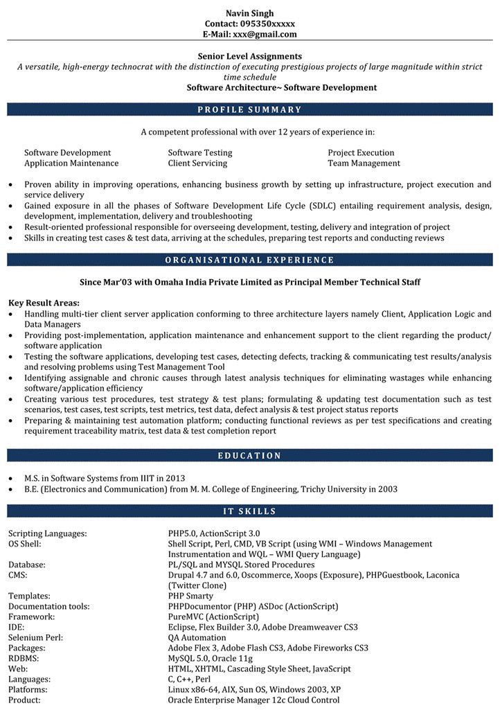 developer resume multimedia developer resume