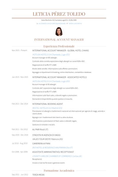 national account executive resume