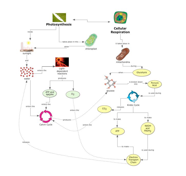 Use These Science Examples To Integrate Inspiration Into Your ...