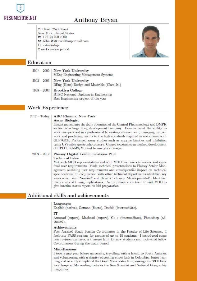 top 10 resume template
