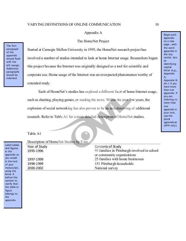 appendix essay