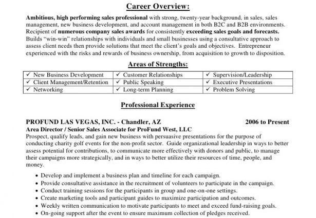 career overview resumes