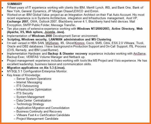 resume professional summary