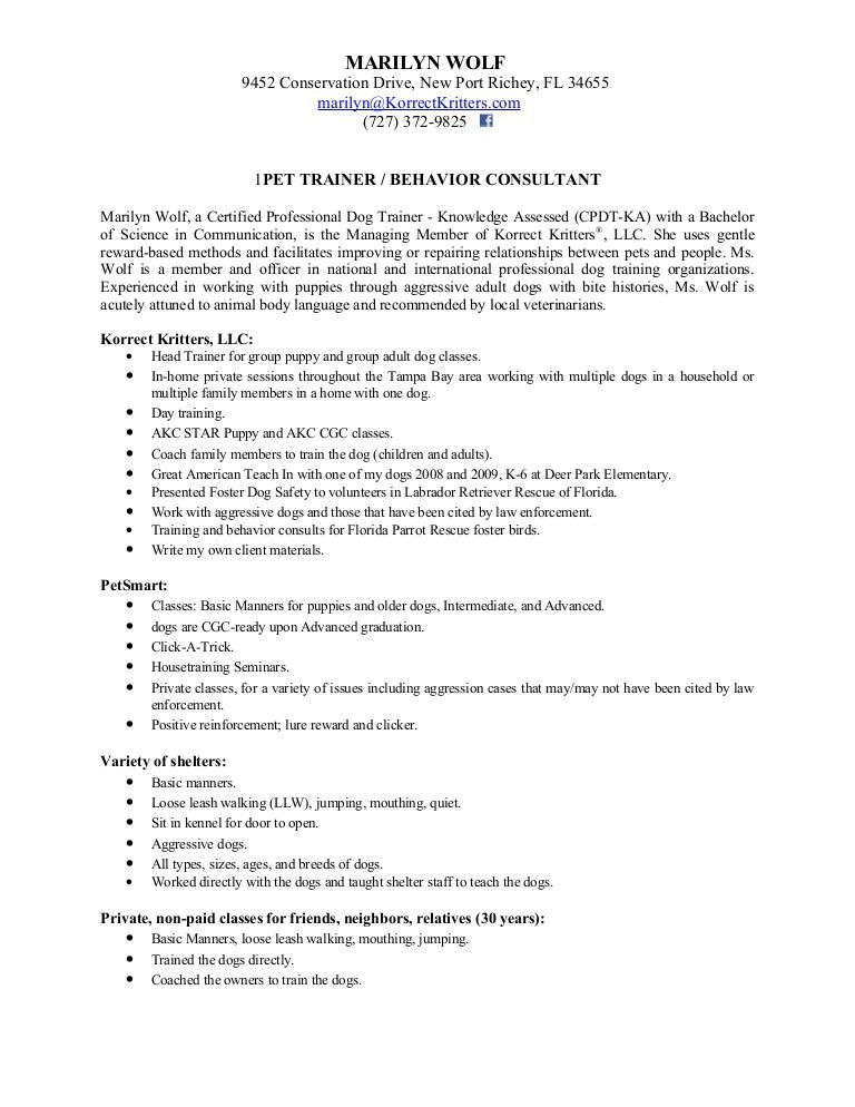 court officer resume