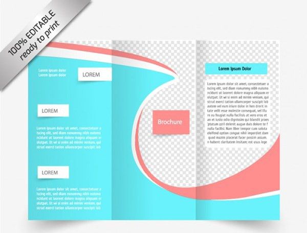 tri fold brochure template free microsoft word