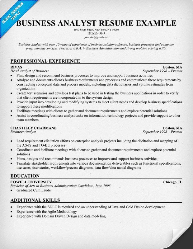 program analyst resumes