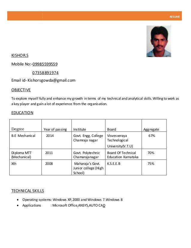 blank resume form pdf