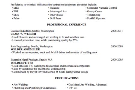 mig welder resumes