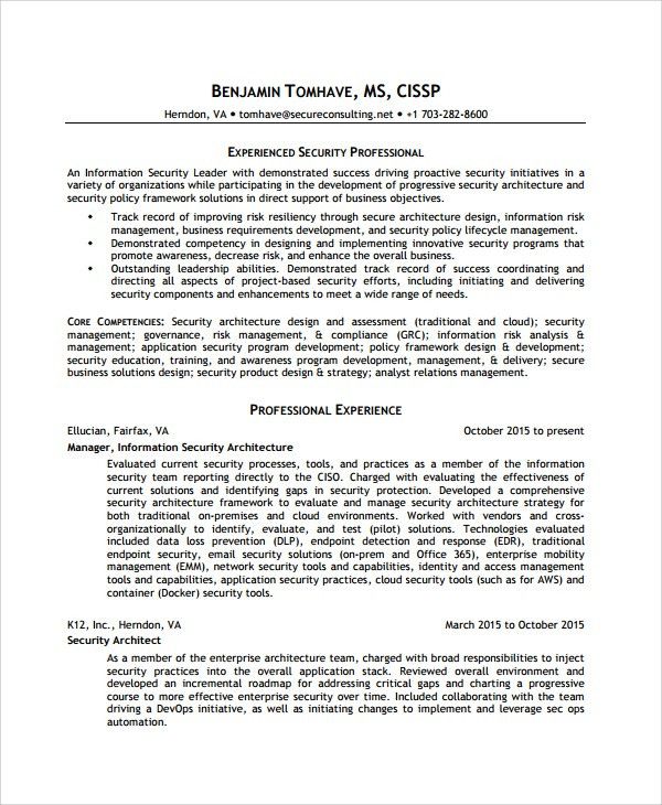 information analyst resume