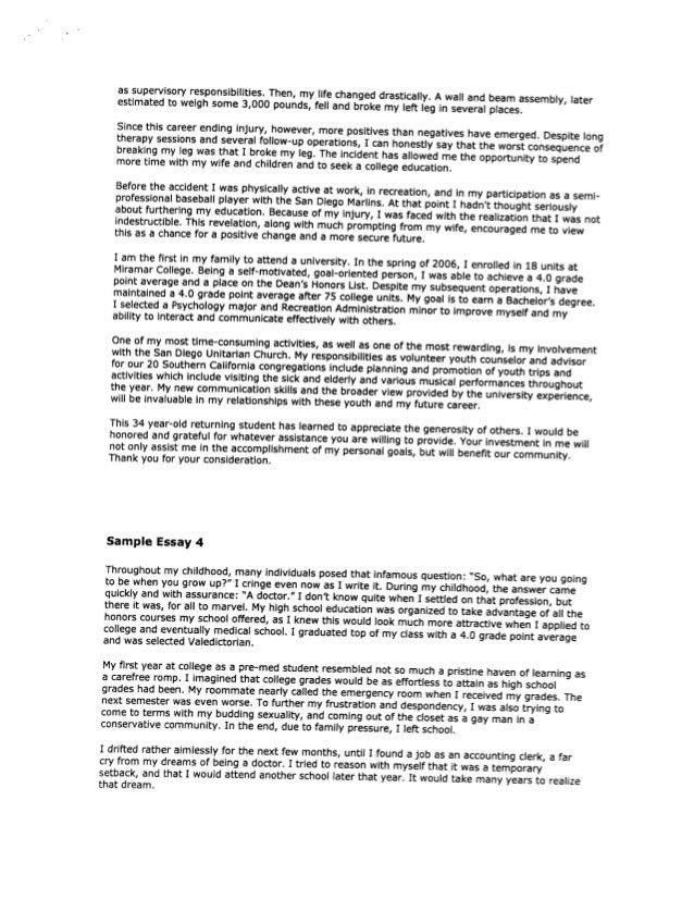 dream career essay
