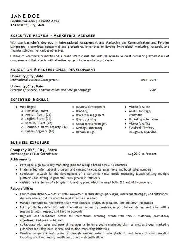 account manager resume example