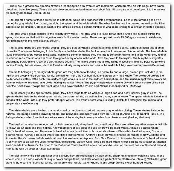 a perfect essay example