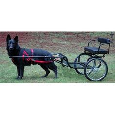 Best Dogs That Can Pull Cartsleds And Wagons Images Dogs Cart Working Dogs Best Dogs That Can Pull Cartsleds And Wagons Images Dogs Cart Working Dogs