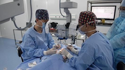 Cost of Dog Intestinal Surgery