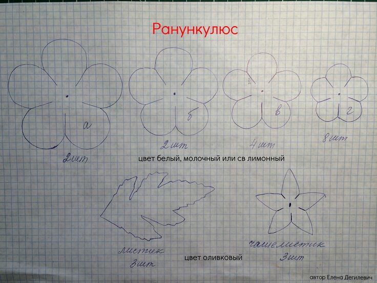 Ранункулюс фоамиран выкройка Ранункулюс фоамиран выкройка