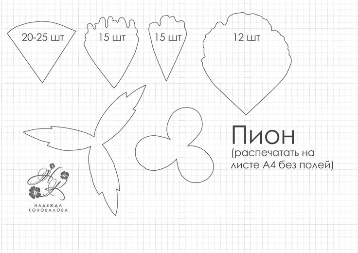 Пиона из фоамиран выкройки Пиона из фоамиран выкройки