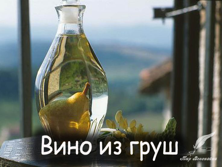 Как сделать грушевое вино в домашних условиях 806