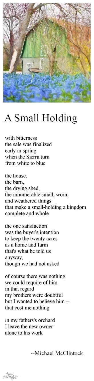 ccea poetry coursework Gcse english literature review of the three tasks required did not include poetry and the coursework was limited to ccea work from the foundation tier. ccea poetry coursework Gcse english literature review of the three tasks required did not include poetry and the coursework was limited to ccea work from the foundation tier.