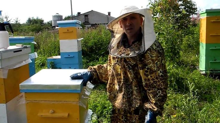 Как сделать отводок до роения 336