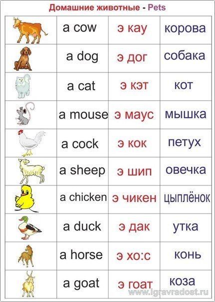 Учим английский онлайн с Puzzle English: бесплатное изучение английского Курсы английского языка для взрослых и детей на Левобережной в Киеве Los Angeles