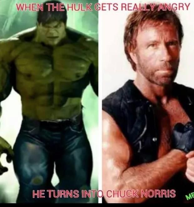 2019 year - How to Appreciate Chuck Norris 2019 year