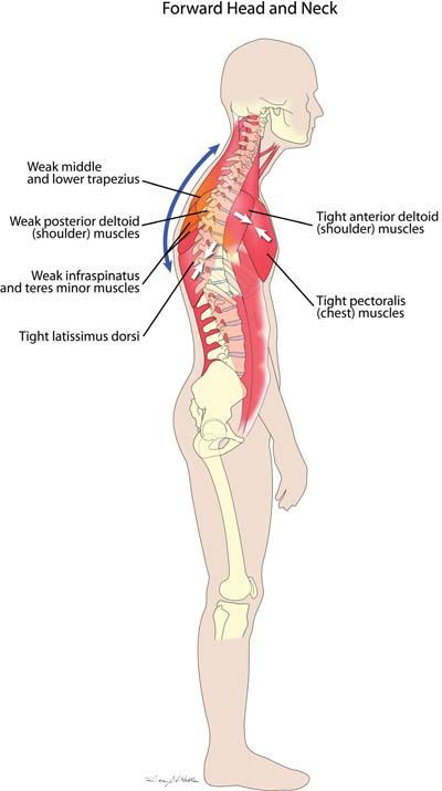 The Best Moves For Healthy Shoulders pics photo The Best Moves For Healthy Shoulders