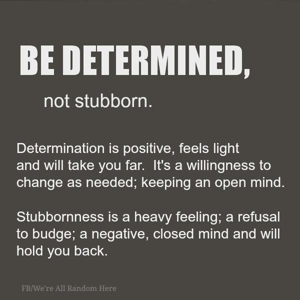 Success In Reaching Goals Is Determined By Mindset images Success In Reaching Goals Is Determined By Mindset pics
