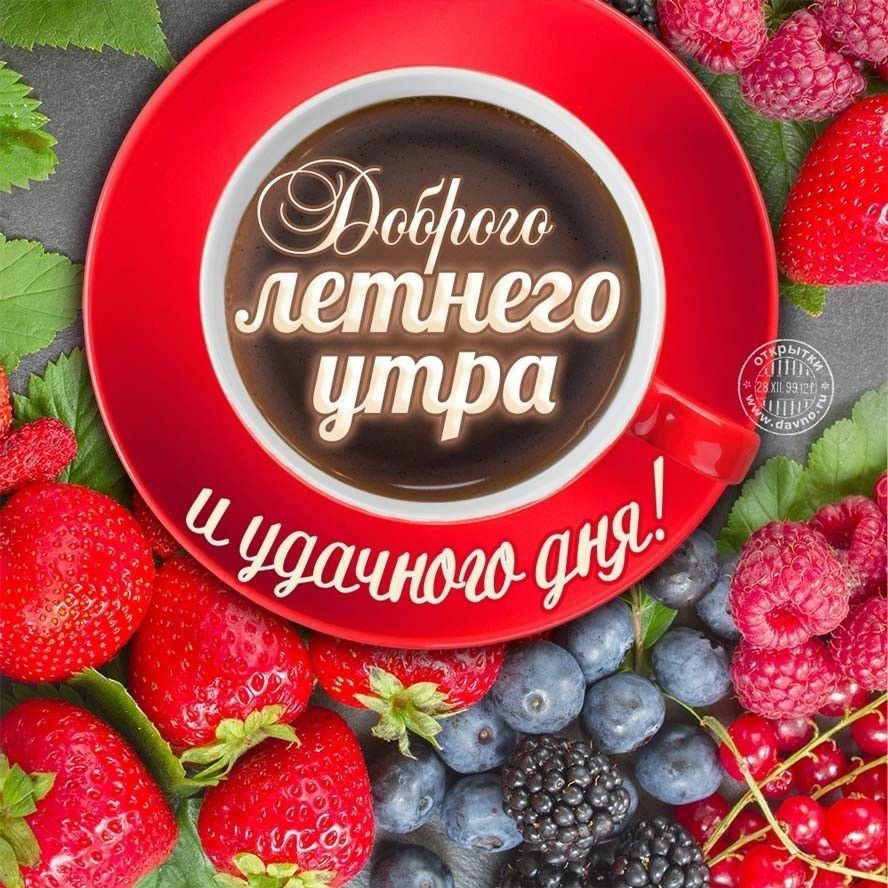 Доброе утро открытки летние красивые